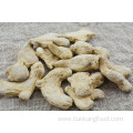 Dehydrated and air-dried whole ginger